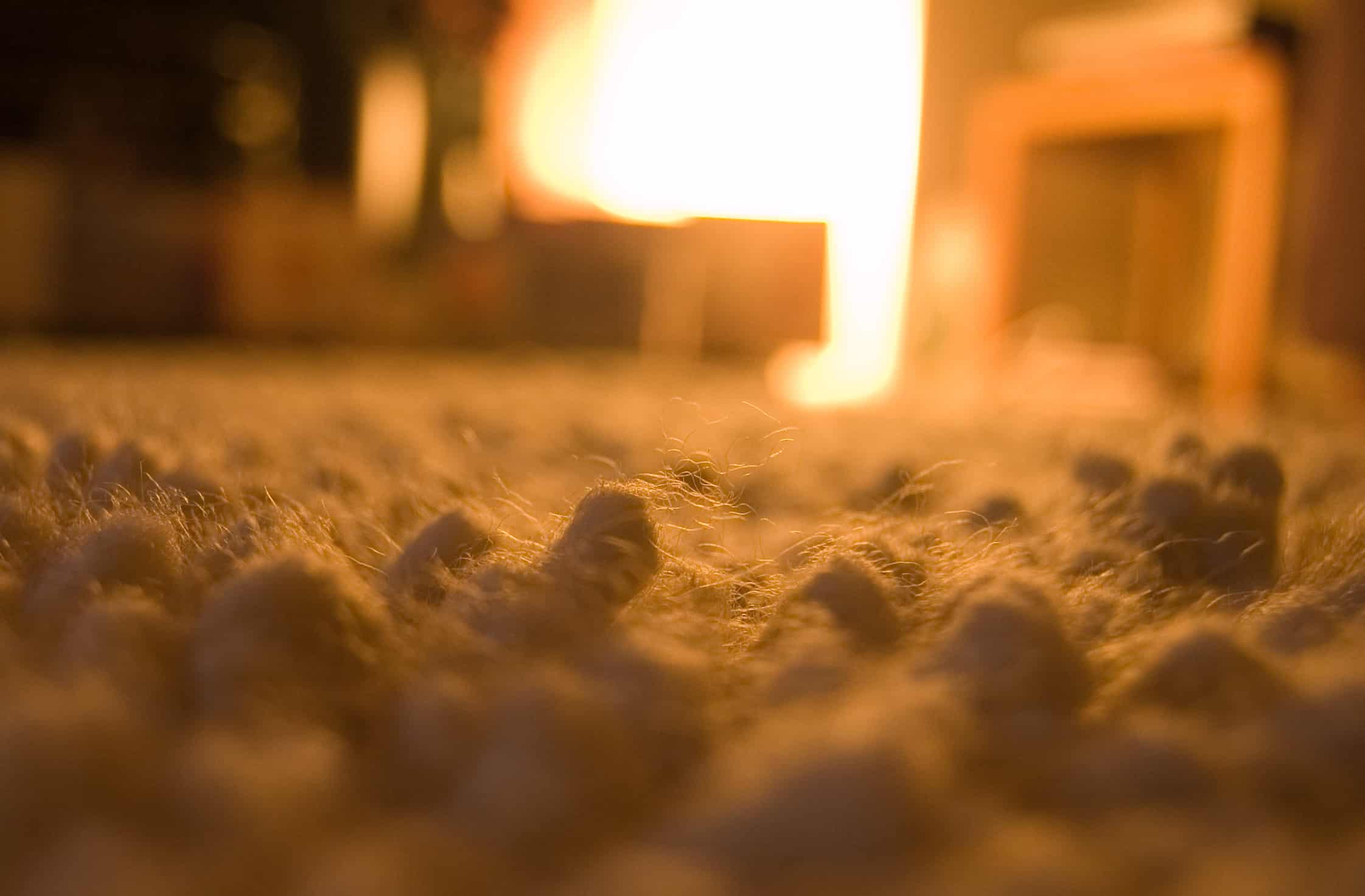 Carpet Care 101
