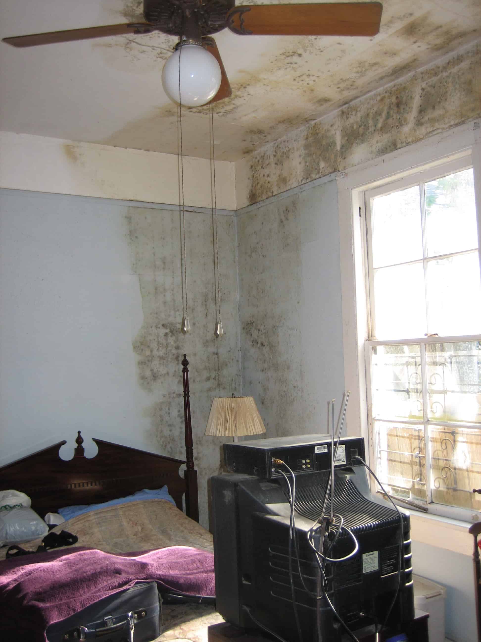 The Importance of Finding the Right Water Damage Restoration Company
