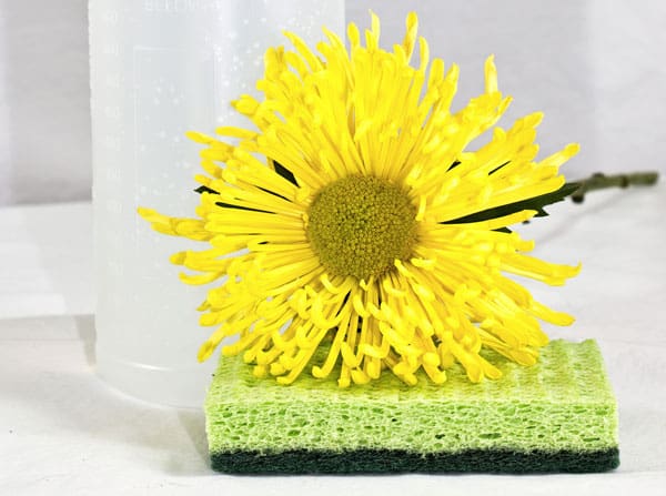 4 Powerful Natural Cleaning Ingredients With Unbelievable Results
