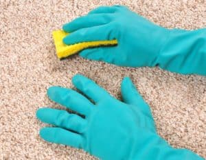 cleaning-carpet.jpg