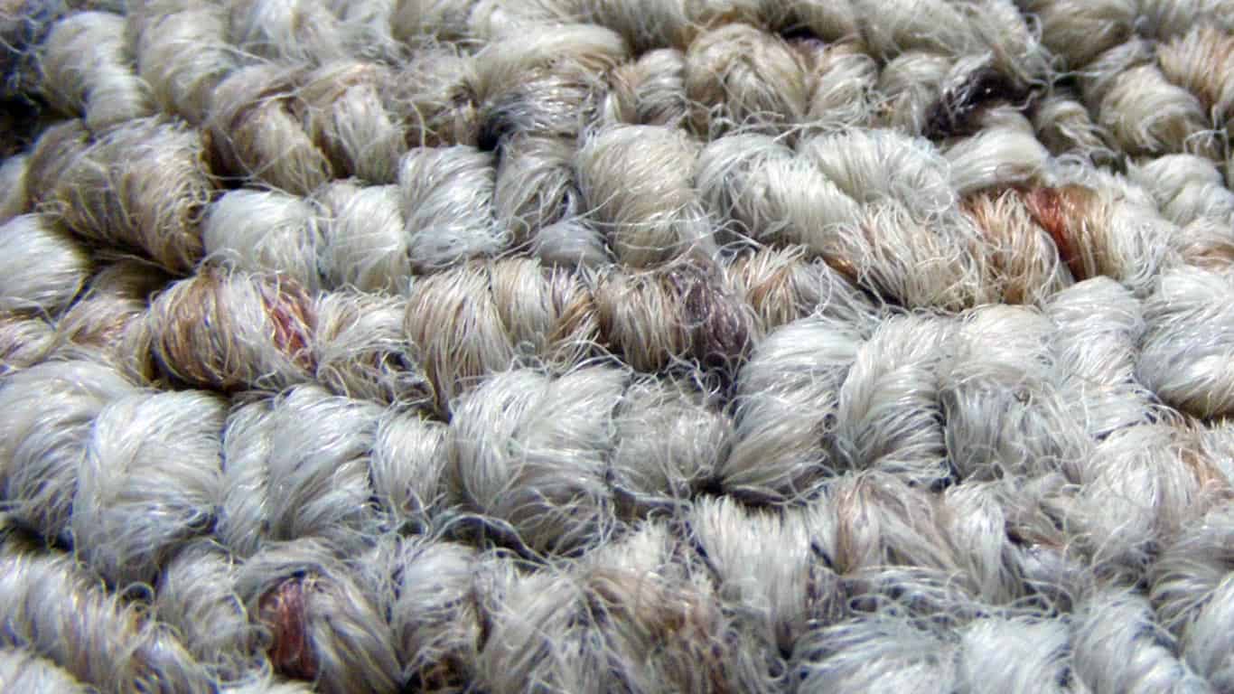 5 Signs Your Carpet Might Need To Be Replaced