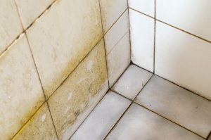 mould growing on bathroom tiles